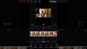 Как замедлить или ускорить видео в приложении Videoleap