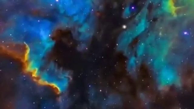 Входящий и исходящий Daydream
