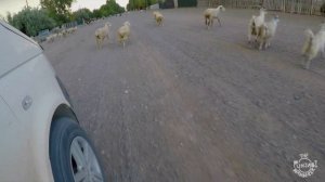 Indian in Kazakhstan Village | Altyn Emel National Park | Singing Sand Dunes | Travel Vlog