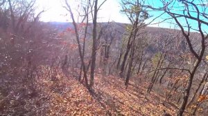 Охота на кабана! В гости на охоту.