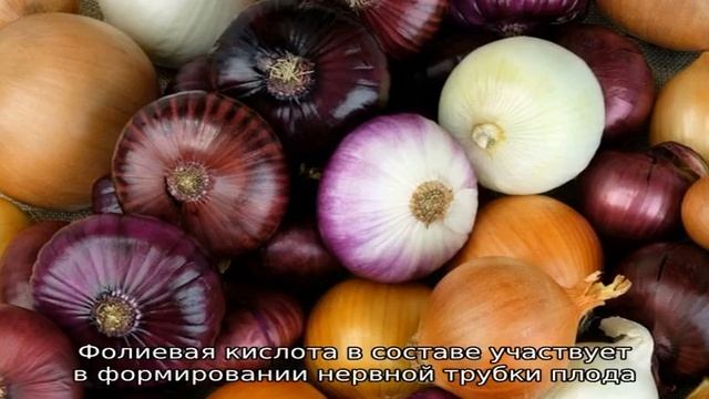 Причины, почему хочется репчатого лука: чего на хватает организму смотреть онлайн