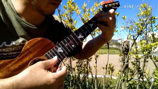 「ハウルの動く城 」より「 世界の約束 」弾いてみた смотреть онлайн