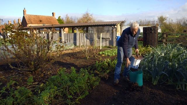 How to Grow No Dig Parsnips - Quick Bed Prep смотреть онлайн