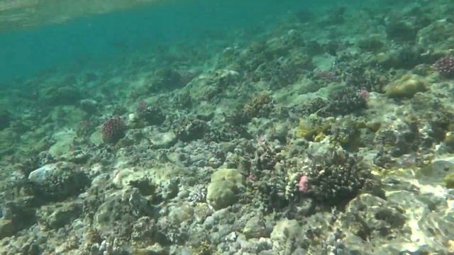 На подводном буксировщике в Марса-Алам смотреть онлайн