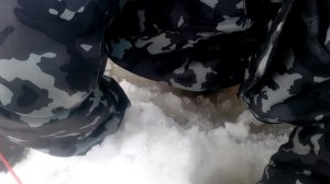 Камбала в Северодвинске