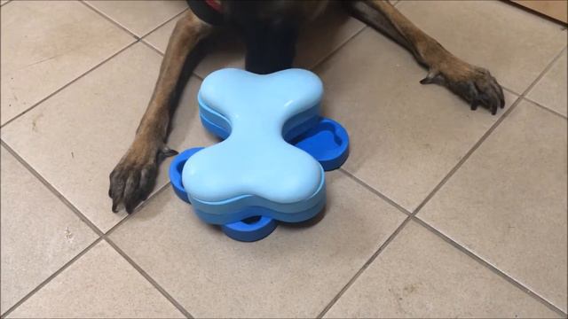 Usaf - trenažer a interaktivní hra