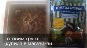 Земляника из семян. Стратификация (ч. 1).  Strawberries. Stratification. Кратко, четко и ясно!