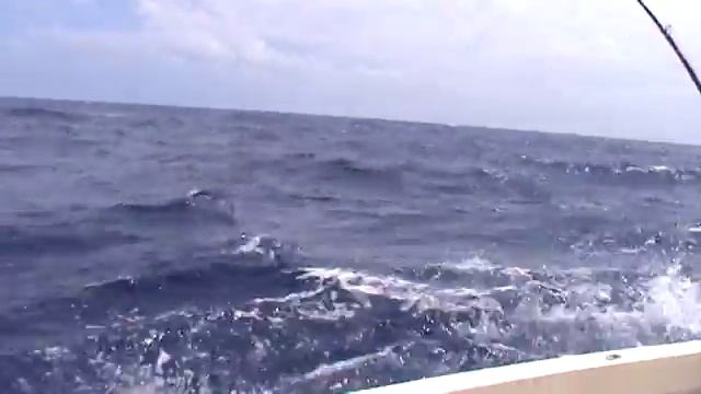 Fishing in the Dominican Republic. Marlin fishing. Marlin 110 lb. ( Ловля марлина. Марлин на 50 кг