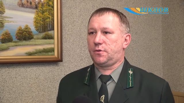 Где приобрести главный атрибут праздника – ёлку?