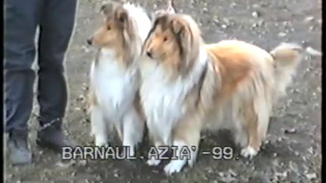 Тэсс и Этуаль (?)после выставки Азия 1999 год смотреть онлайн