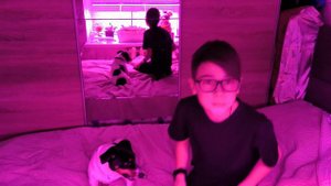 Как отучить собаку кусаться и научить доверять хозяину?? 🤔