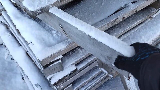 Рассуждаем, где будет жить алабай
