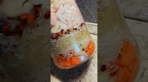 плов в банке