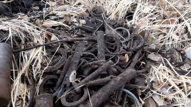 МЕТАЛЛОКОП С MD 4030.КОП МЕТАЛЛА В ЛЕСУ! смотреть онлайн