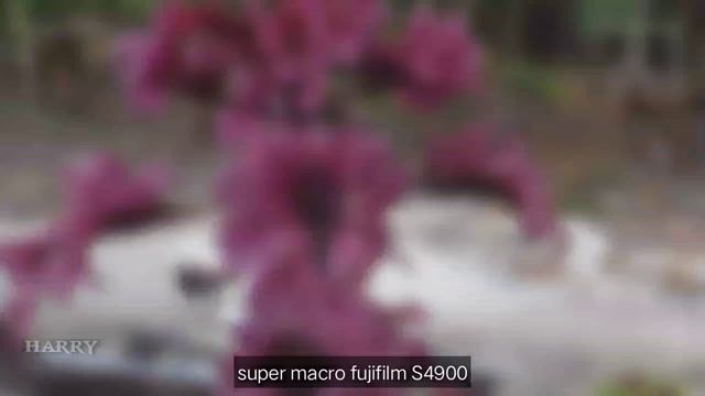 Super macro kamera fujifilm s4900 смотреть онлайн