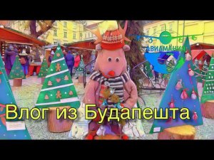 Будапешт влог |Музей Кубика Рубика |Нью Йорк кафе | #Авиамания