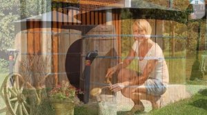 Дождевая вода: куда собирать и как использовать?