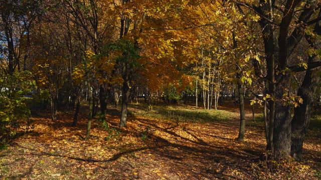 Закружилась листва золотая