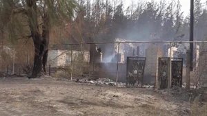 Причиной возгорания в ЛНР мог стать поджог