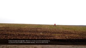 Волок - День 9 (Кровяной след. Простой 2 часа) - Натаска щенка дратхаара