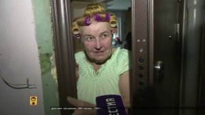 В ответе за тех, кого приручили: почему в РФ могут ограничить число домашних животных в квартирах