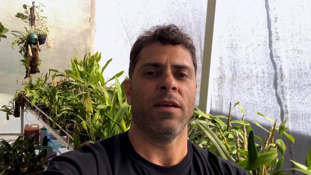 CONHEÇAM PLANTAS RARAS E SUAS CURIOSIDADES смотреть онлайн