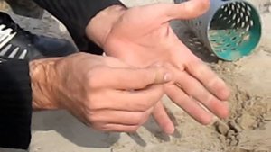 Прогулка на пляже с Garrett Ace 250