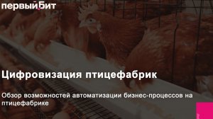 Цифровизация птицефабрик