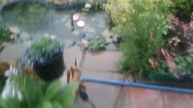 Влог/ Продолжение стихийного бедствия, Новосибирск 4 июля смотреть онлайн