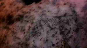 Паркур (Нога застряла)!