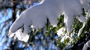 Антонио Вивальди - Зима. Antonio Vivaldi - Winter.