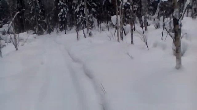 VID 20180208 084348 смотреть онлайн