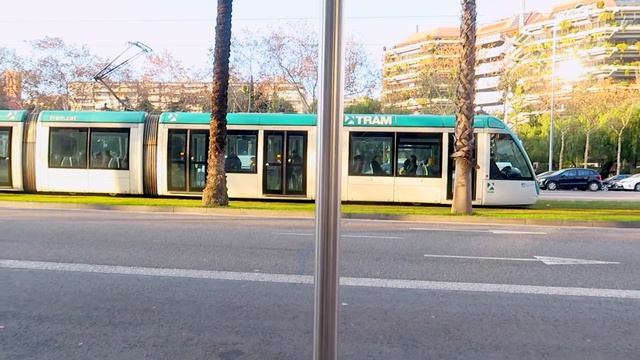 САДЫ ШЕКСПИРА | ДОМА ЛУЧШЕ? | VLOG / ВЛОГ : 21.01.2019 смотреть онлайн