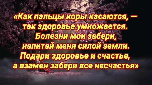Заговор на здоровье. Универсальный, простой обряд с деревом