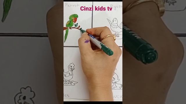 Learn birds name|learn colors, preschoollearning videos for kids,kids learning videos