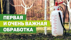 ОБРАБОТКА САДА РАННЕЙ ВЕСНОЙ. Мощный удар по вредителям и болезням.mp4