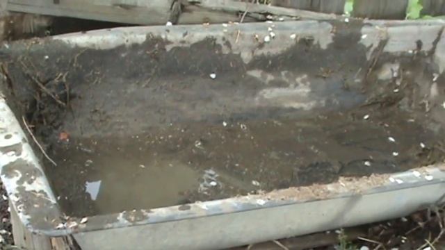 Чем подкормить виноград весной
