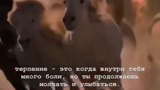 сабр ключ от рая 🥰☝️ Аллах любить терпеливый 😊🙏