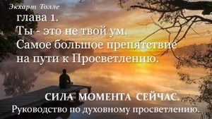 Экхарт Толле СИЛА МОМЕНТА СЕЙЧАС. Руководство по духовному просветлению. Аудиокнига.