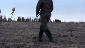 Дрессировка курцхаара. Подача птицы.