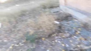 ЧТО СКРЫВАЮТ ЗАБРОШЕННЫЕ ВОЕННЫЕ СКЛАДЫ У "АПТЕКИ"?