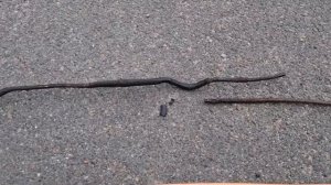 Замена тормозной трубки на Opel Vectra C