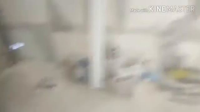 Командировка!Химки Московская область смотреть онлайн