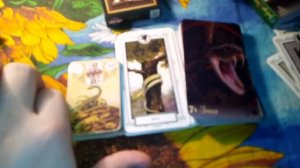 Обзор на мою коллекцию карт Ленорман