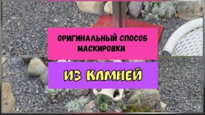 Оригинальный способ маскировки из камней.