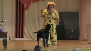 Танец с собакой