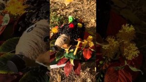 Осенняя подделка в детский сад