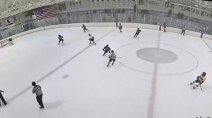 NY Saints 16U AAA- David Fridman #48 Hockey Highlights