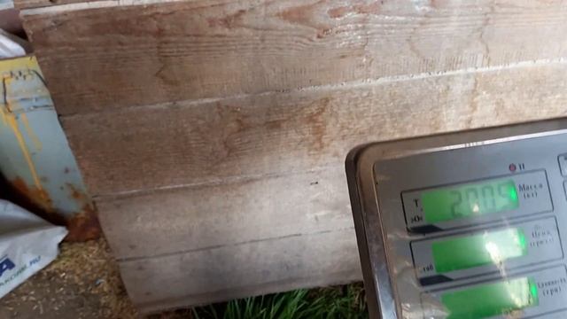 ❗##Какие уколы необходимо ставить для лучшего роста поросят, Вес поросёнка в 1,5 месяца##❗ смотреть онлайн