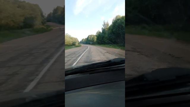 отсутствие дорожного полотна на трассе Валдай, Демянск, Марево . Новгородская область
